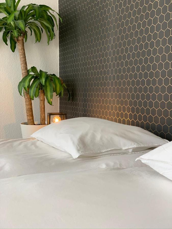 Villa Monique 科克赛德 外观 照片